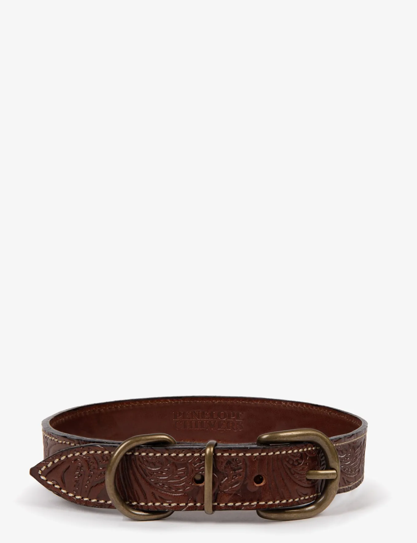 Penelope Chilvers Cordoban Dog Collar