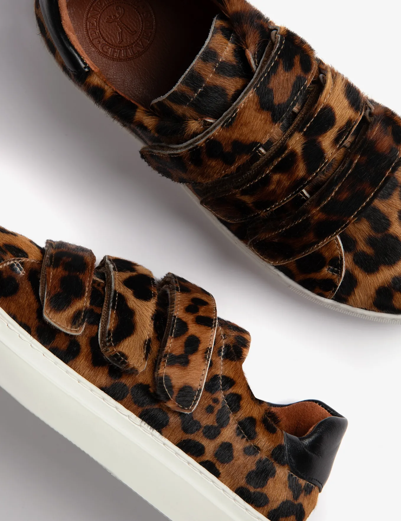 Penelope Chilvers Pacha Tortoiseshell Pony Trainer
