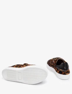 Penelope Chilvers Pacha Tortoiseshell Pony Trainer